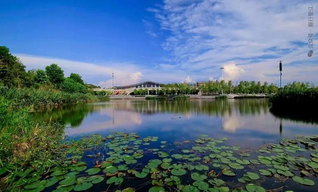 地名里的重庆 | 垫江桂阳街道:桂水之阳藏古韵,新城之中见未来