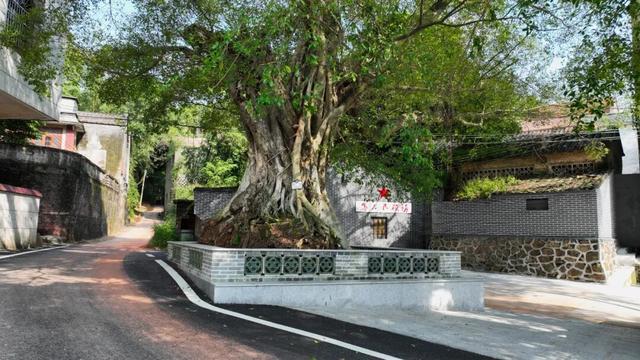 省媒关注！高要这条800多年的古村，太有魅力了！