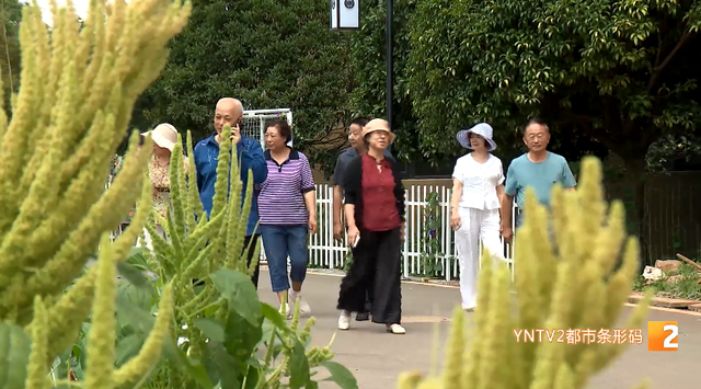 “天气舒服就多待！” 这个群体错峰出游持续升温，云南成旅居度假热门选择