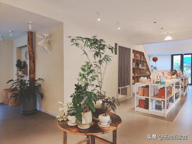 在文字间遁迹，漫步石家庄4家小众宝藏书店