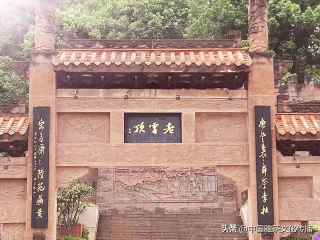 嘉州之秋：大佛与三江的秋日交响