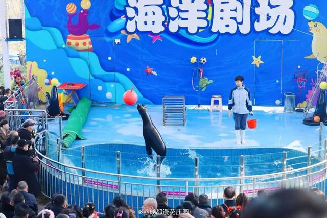 15万株绽放醉美菊花展，成都又美爆了！