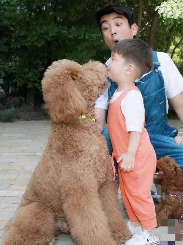 霍思燕携爱犬参加国际比赛获得全场总冠军，杜江自豪发文