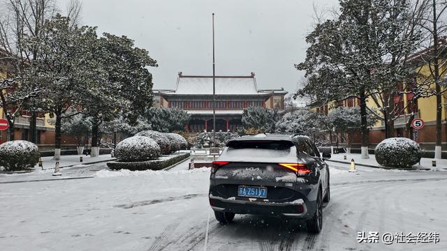 每日一景|大寒雪落金陵 明故宫梧桐披银 市民漫步享冬日诗意