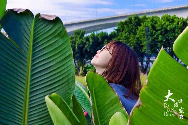 不用跑远,大渡口这个公园每一处都出大片🤩