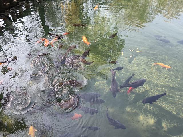 感冒在得失之间