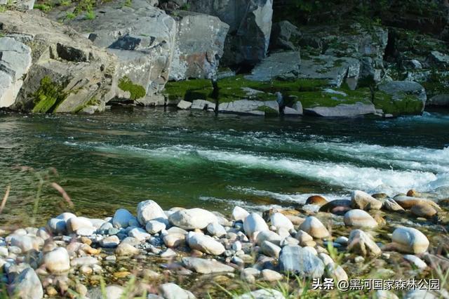 西安山美水美的清凉秘境！夏天来黑河避暑旅游太爽了！