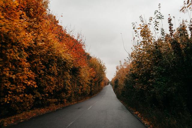 我唯一担心的是，我配不上自己所受的苦难