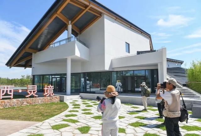 上海人的“宝藏后花园”全面升级啦！水上森林玩出新花样，这份攻略请收好！