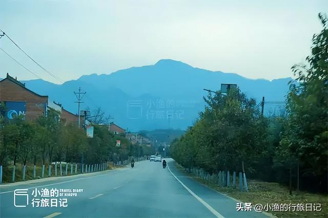 花期提前，秦岭第一波盛大花海已上线！这趟赏梅之旅，可以安排了