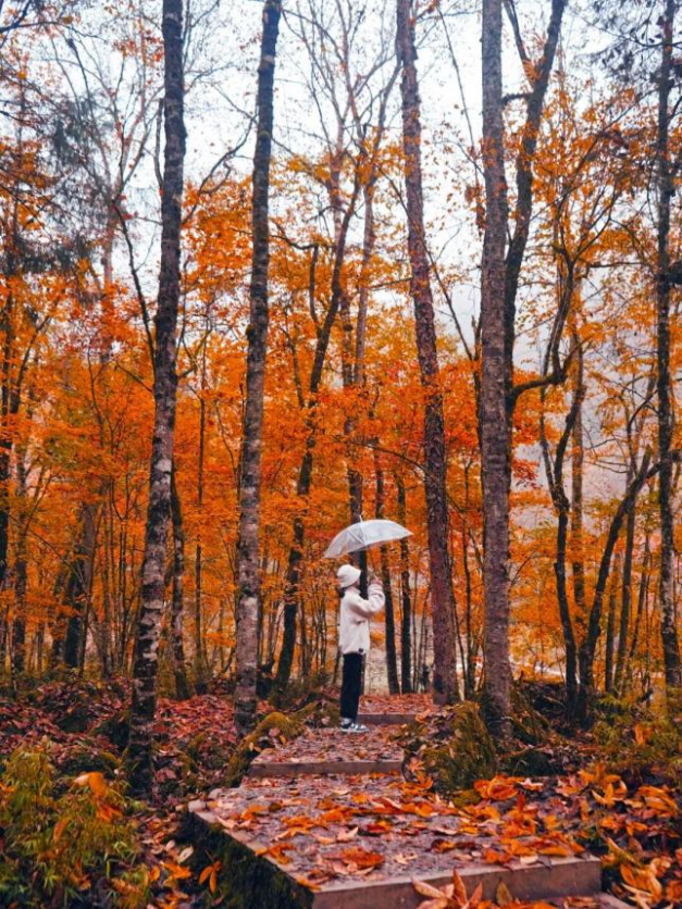 “秋假”开耍！带着小宝来雅安准没错！