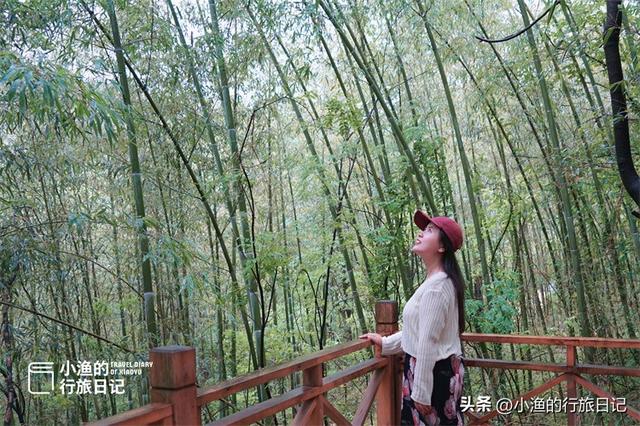 西安秦岭最美环山路一日游推荐！景美路好、看点超多，自驾超爽
