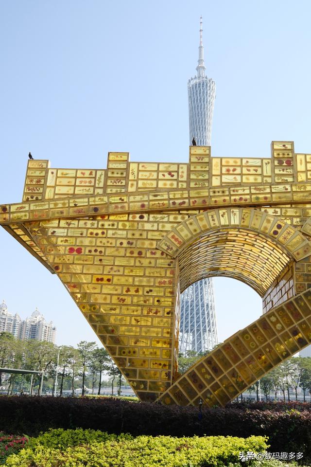 广州一年四季这景点都有花海，绝美赏景地