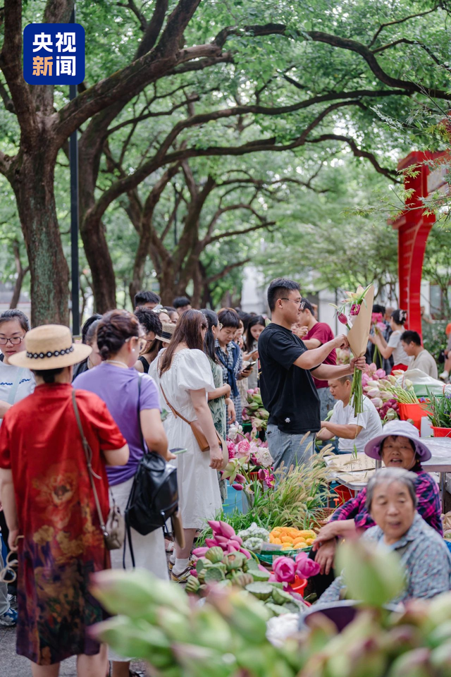 荷花市集火出圈！原来这些花是坐公交、地铁来的