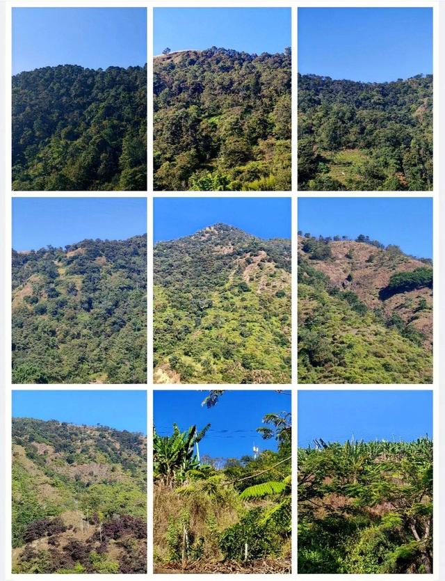 【美丽四川】梦幻米易西山‖袁征