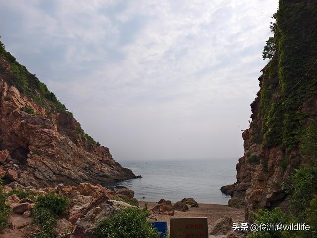 大连海之韵公园·棒槌岛