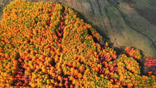 兰仓秋，染山河。