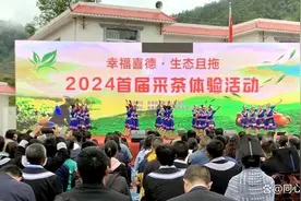 「凉山」幸福喜德·生态且拖2024首届采茶体验活动举行图片