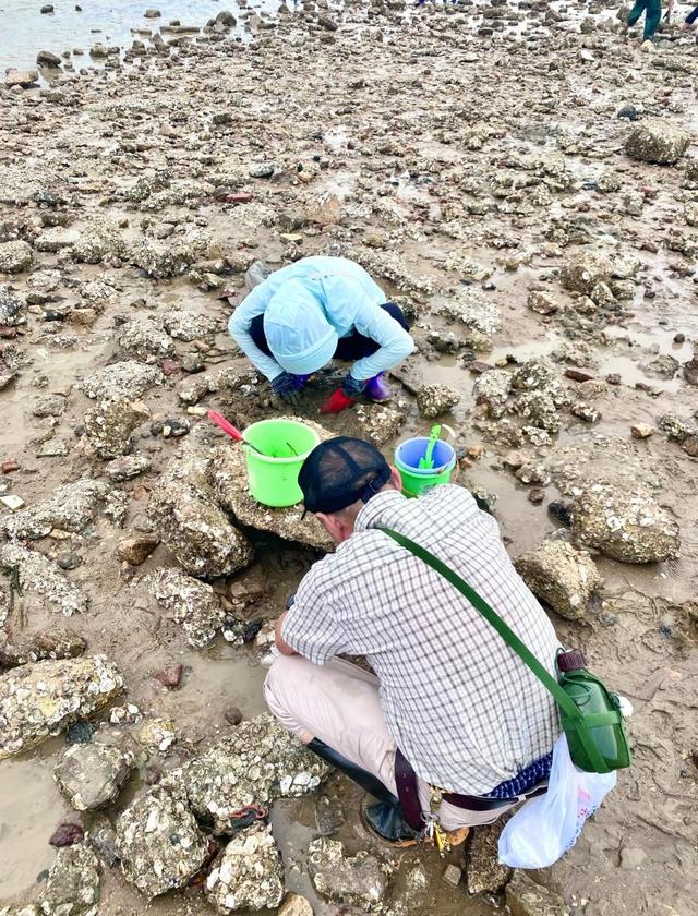 厦门岛内赶海宝藏地点推荐，五缘湾沙滩，黄厝海滨浴场，不可错过