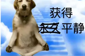 为什么 AMD 显卡公认性价比更高，但为啥却是叫好不叫座？图片