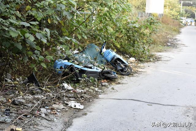 郑州：高铁公园这些共享电动车谁扔的