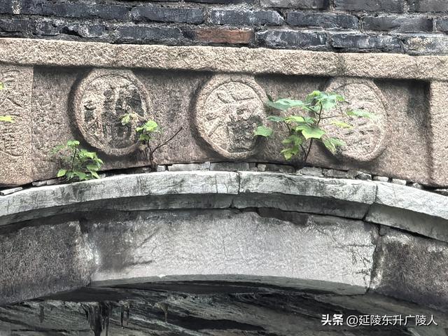 木槿花开时 再探常州万福桥