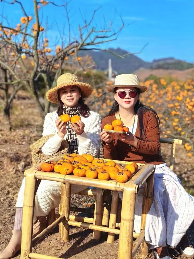 限定美景！九江这个小山村藏着千亩 “红灯笼”