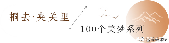 100个美梦丨在天台山云雾深处，藏着一处会呼吸的苔藓秘境