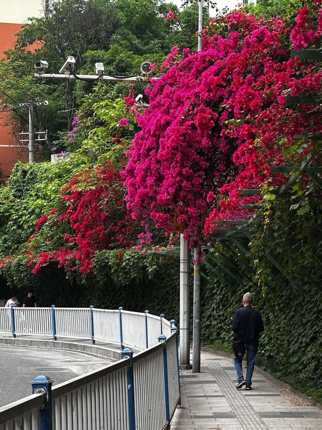 6月，谁说天空一无所有？(下)