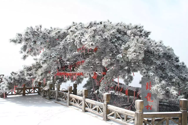 文旅临沂提醒！2026年免费、优惠福利来了！！