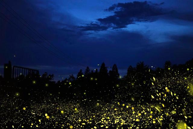 盘点我去过浙江泰顺的五个绝美地，比国外还美，知道的游客却很少