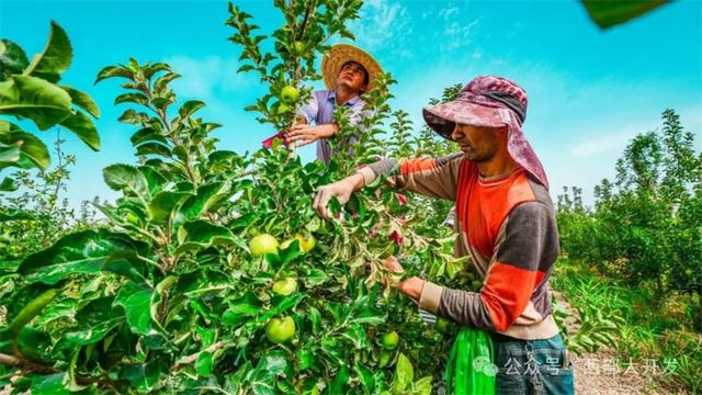 泽普，何以不凡？