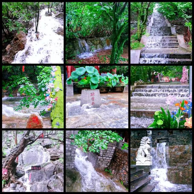 雨洗青檀，仙境初现！这场限定美景，只为你邂逅！
