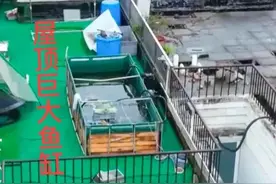 上海某居民楼顶出现巨大鱼缸，有安全隐患，而城管无法管制！图片
