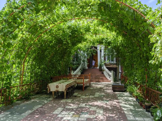 草原花海，塞外江南——超全新疆伊犁旅游攻略