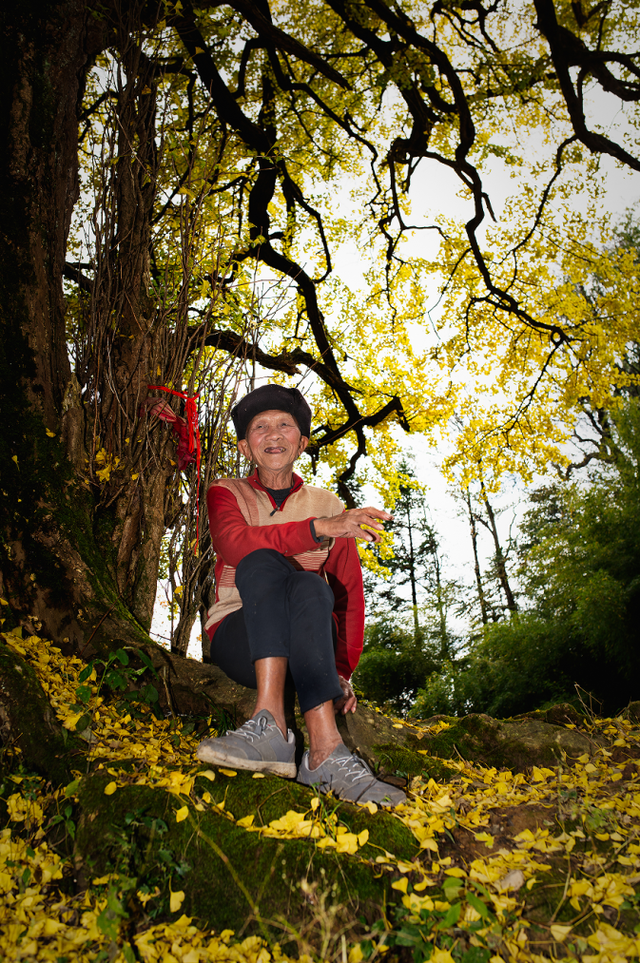 银杏拍照指南！10个出片宝藏地+3个手工教程，手把手教你出片！