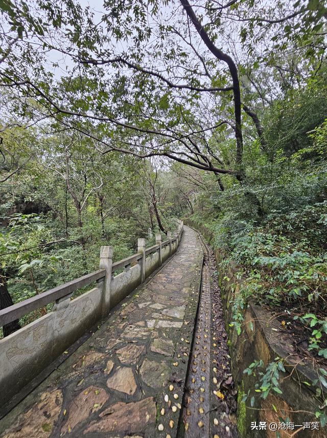 不一样的大山，四里不同天，十里有四季，一起走吧，挑战身体极限