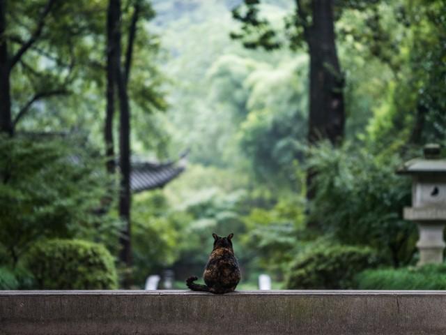 提升自己的运气，狠狠记住。1、守相