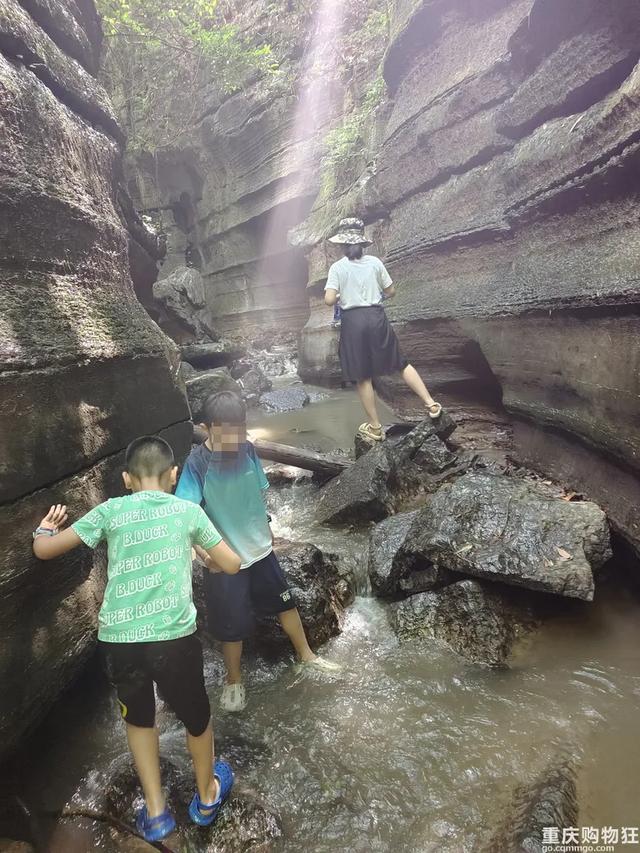 气温20℃+！重庆小众避暑点，吹凉风，捉小鱼，一日游也能耍安逸