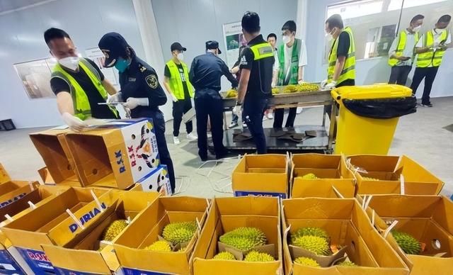失去中国市场后，大量水果烂在地里卖不出去，才后悔“得罪”中国