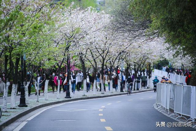 南沙也有樱花节，就在3月14日，这里还用心总结多种美食。