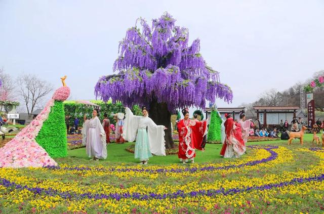 “花式”引客，火爆出圈！21℃的夏天收官，栾川文旅精彩不停