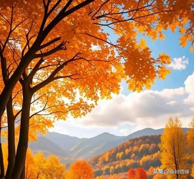 两性关系，夫妻越是喜欢分房睡，越是说明这三点。一定要重视！