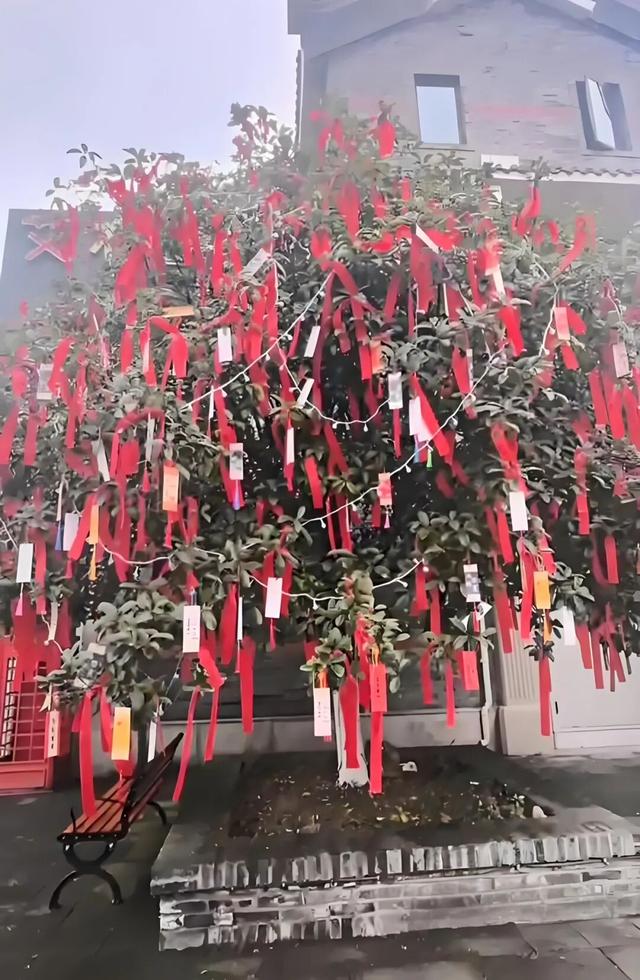 国庆“趣”遵义 │ 赏烟花、听音乐、品美食、玩闯关、忆国风，去新蒲，过中秋！