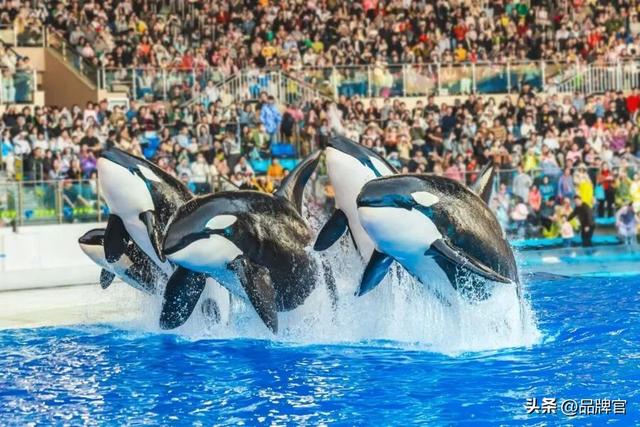 斥资11亿，开业8年！又一大型室内乐园停业，曾日均客流量超5万