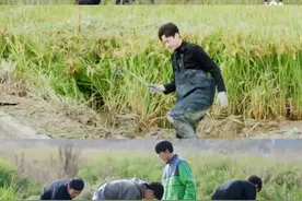 硬控全红婵2小时的“乌龟对对碰”，什么让年轻人心甘情愿买单？图片