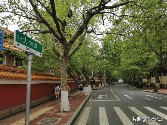 去了5次青岛，终于把青岛玩透了，盘点15个值得去的景点。