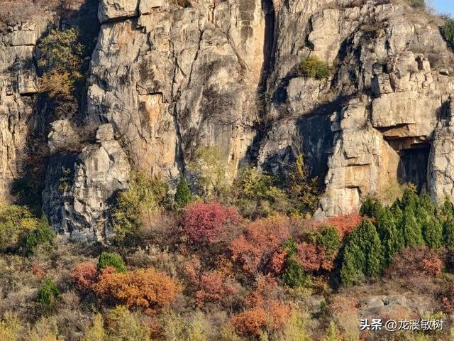 戴维对第一次对中国蒙古地区的考察进行总结，计划第二次考察