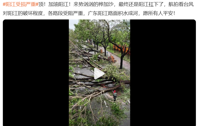 桦加沙的“双眼皮”有什么特殊之处