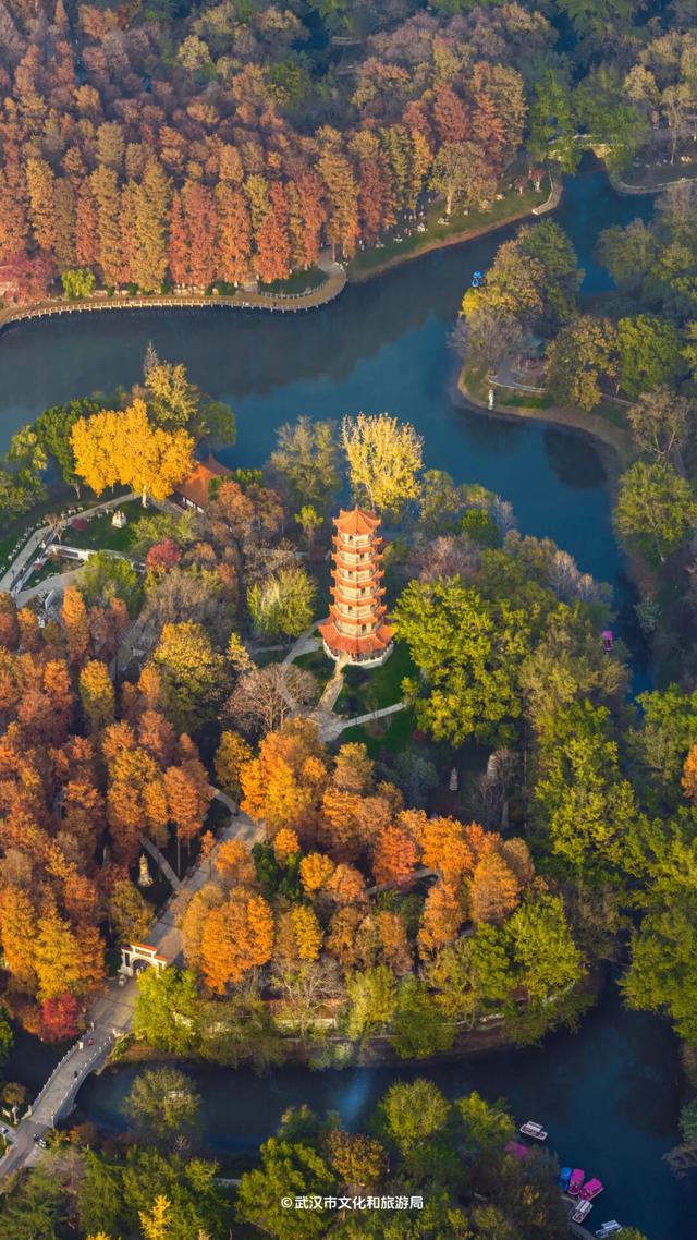 最新发现！2公里“金色隧道”，武汉人私藏了60年！